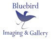 Bluebird Imaging
